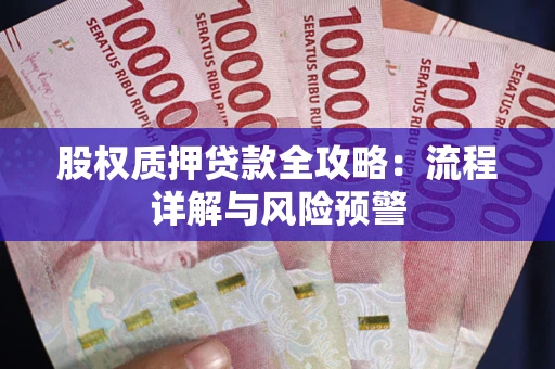 北京股权质押贷款全攻略：流程详解与风险预警