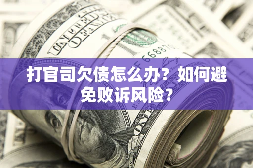 北京打官司欠债怎么办？如何避免败诉风险？
