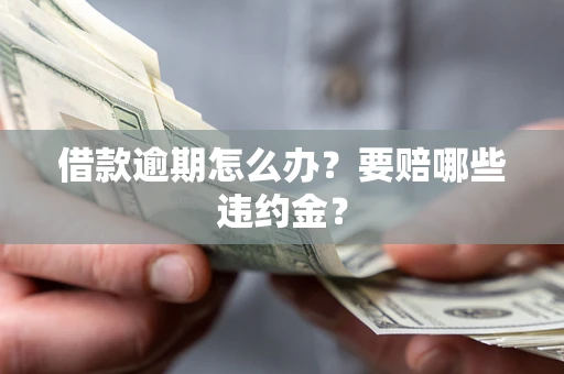 北京借款逾期怎么办？要赔哪些违约金？