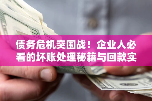 北京债务危机突围战！企业人必看的坏账处理秘籍与回款实战指南